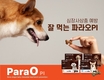 녹십자수의약품, 심장사상충 예방 ‘파라오PI’ 출시