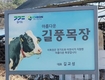 서울우유 나 100% 납유 목장 탐방 / 경기 이천 길풍목장