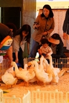 직접 맛보고 즐기는 풍요로운 체험행사로 호평