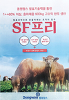 “한우농가의 위기 탈출법 1++ 등급 출현율을 높여라”