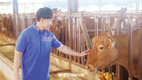 “천하제일사료의 전문화된 현장 컨설팅 큰 도움 됐다”