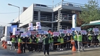 “대표가격 기능 상실…돼지 도매시장 정상화를”