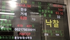 한능평 최고 한우 몸값 1억원 시대 오나