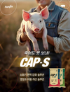 자돈 육성률 향상으로 양돈산업 경쟁력 높인다