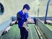 <2025년 신년특집> 프리미엄 K-축산(동물복지농장) / 오름율면농장