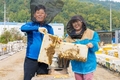 경남도, 양봉산업 안정화 위한 지원 팔걷어