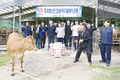 횡성축협, ‘사랑의 암송아지’ 후계농 지원