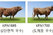 농진청, 2025년 상반기 한우 보증씨수소 18마리 선발