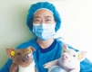 PRRS 저항성 돼지 생산…유전자편집기술은 뭐가 달라?