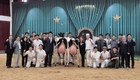 <화제의 현장> 2025 한국홀스타인품평회