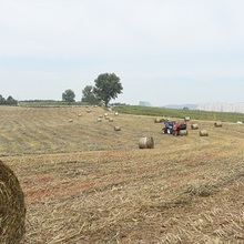 볏짚 수급 ‘비상’…가격 안정 총력전