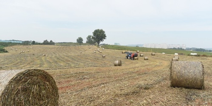볏짚 수급 ‘비상’…가격 안정 총력전