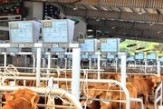 울산축협, 차세대 출하안내시스템 도입… 한우 경매시장 기준 바꾼다