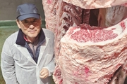제주도 한우 등심단면적 역대 최고 기록 갱신