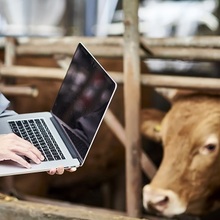 올해 축산업 생산액 ‘숨 고르기’ 국면