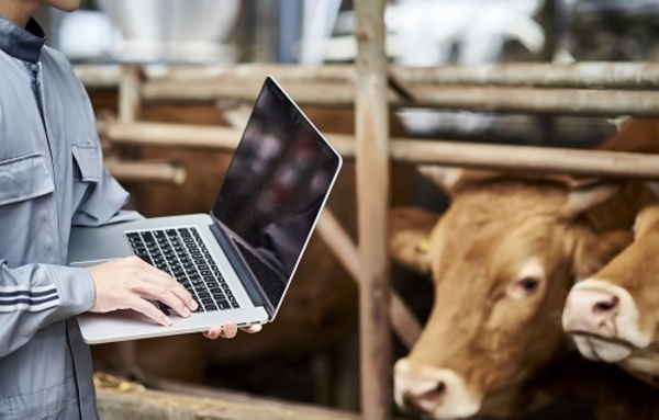 올해 축산업 생산액 ‘숨 고르기’ 국면