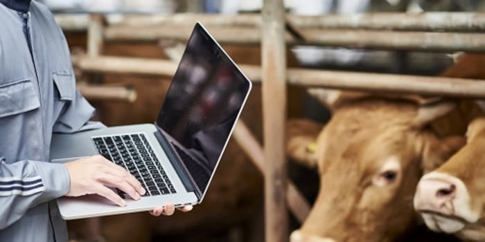 올해 축산업 생산액 ‘숨 고르기’ 국면