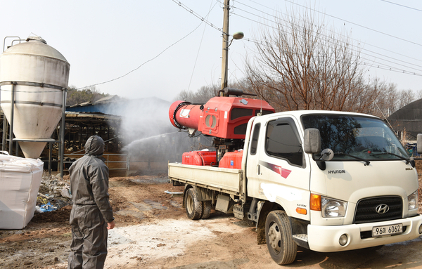 설 명절, 가축질병 확산 ‘분수령’