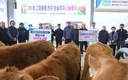 전국한우협회 함양군지부, ‘고등혈통 우량 암송아지 나눔 행사’ 개최