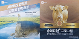 송아지 6개월령 250kg 시대 열렸다