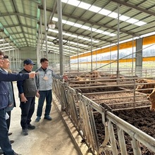 조합원 실익·내실 경영 집중…일선축협, 악재 속 지속 성장