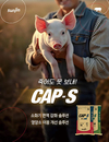 <돈이 되는 축산 솔루션> 선진/자돈을 위한 영양식 ‘캡스’