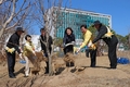 농진청, 청사 주변 ‘푸른 공간’ 조성
