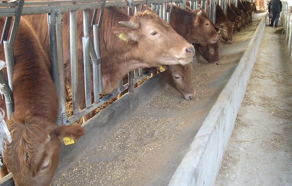 한우법 하위법령 ‘막바지’...기업 진입 규제 대폭 강화