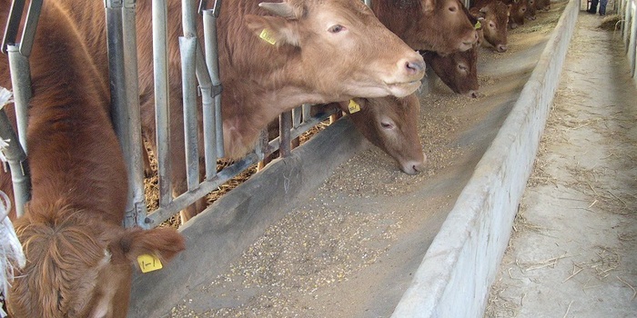 한우법 하위법령 ‘막바지’...기업 진입 규제 대폭 강화