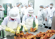 수의대 교수 초청 HACCP 업체 현장방문