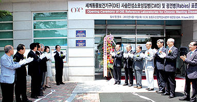 서규용 농식품부 장관(왼쪽 맨앞) 등 인사들이 OIE 표준실험실 현판제막 후, 축하의 박수를 보내고 있다.