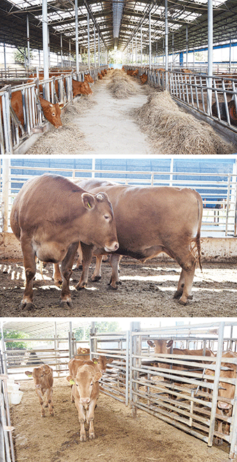 <30주년 창간기획>축산인의 삶 보기