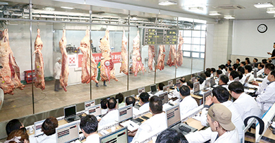 한우사랑 품평회 경매 전경.