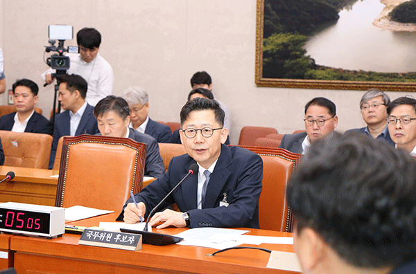 “적법화 진행 시 추가 이행기간 부여”