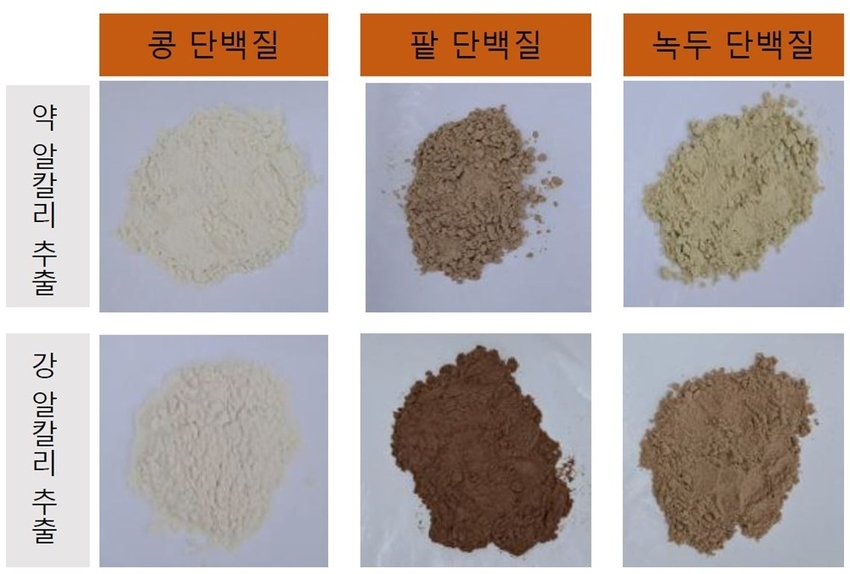 가짜고기 이어 가짜계란 생산 기술 개발