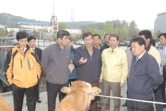 농협 최원병 회장  “축산농가 철저한 보호대책 절실”