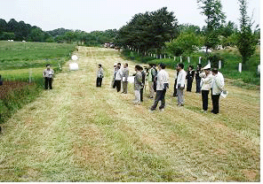 출수기 빠른 양질 사료작물 본격 보급