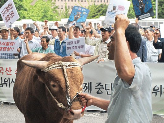 ‘성난 황소’도 농성