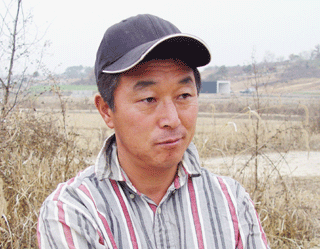 육우농가 현금 융통위해 적자 감수 서둘러 출하… 등급 낮게 받아 또 손해‘악순환’